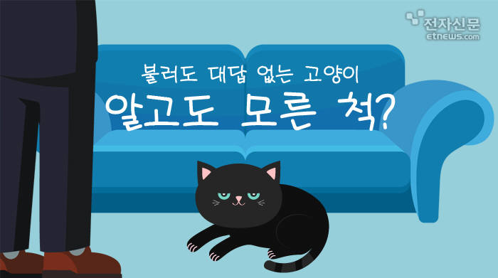 [모션그래픽]불러도 대답 없는 고양이, 알고도 모른 척?