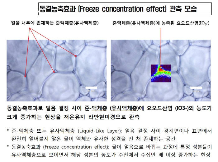 남극 대기 고농도 요오드 비밀 풀렸다