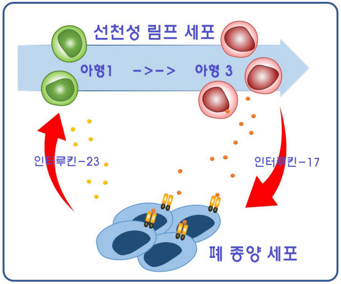 폐 종양 미세환경