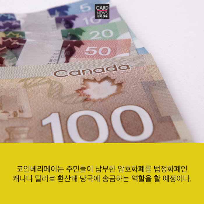 [카드뉴스]캐나다, 비트코인으로 재산세 납부