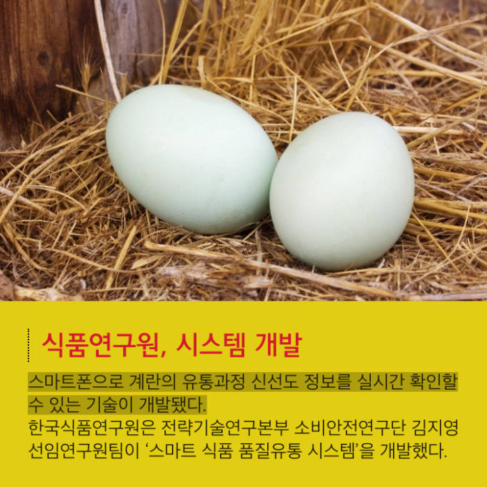 [카드뉴스]스마트폰으로 계란 신선도 체크한다