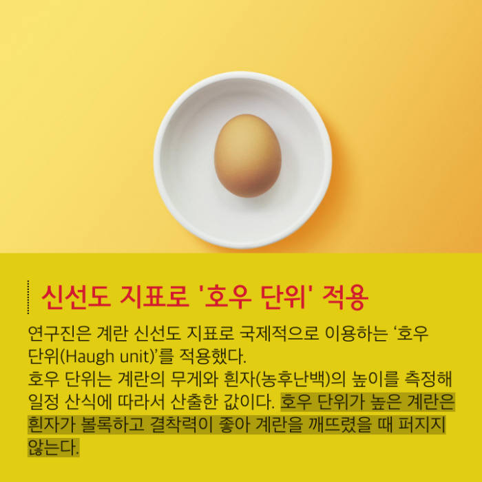 [카드뉴스]스마트폰으로 계란 신선도 체크한다