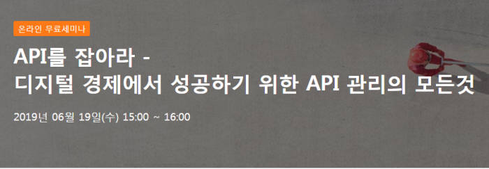 IBM, API 관리가 '디지털 비즈니스 핵심'