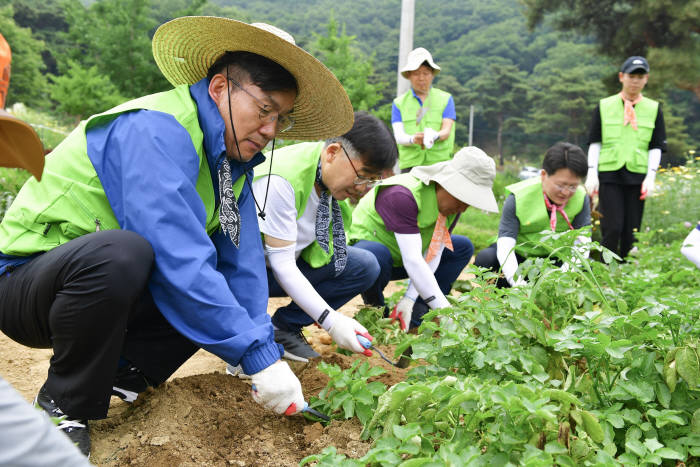 지난 26일 이대훈 농협은행장(왼쪽)과 농협은행 임직원들이 의왕시 원터마을에서 농촌일손을 돕고 있다.