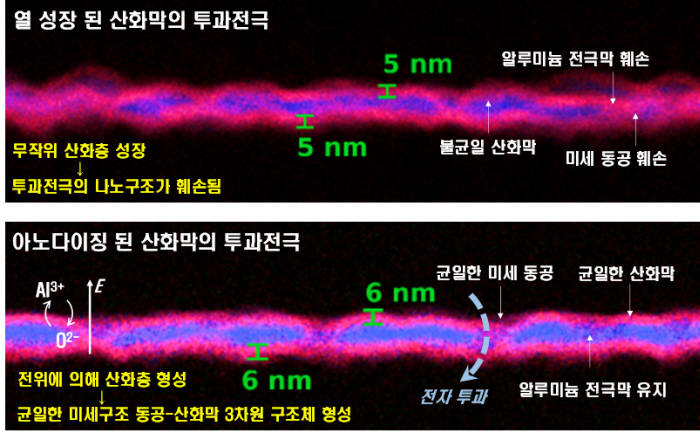 기존 투과전극과 아노다이징 공정으로 개발한 투과전극을 비교한 모습