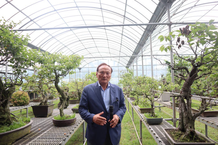 김동규 한창산업 대표가 노리매공원 내부 온실에서 키우는 매화 묘목 및 분재를 소개하고 있다.