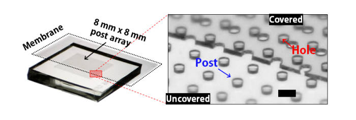 기판 위 액제 제어가 가능한 미세 유체장치.