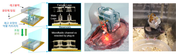 연구팀이 개발한 뇌 이식용 무선디바이스와 이를 쥐 뇌에 적용한 이미지