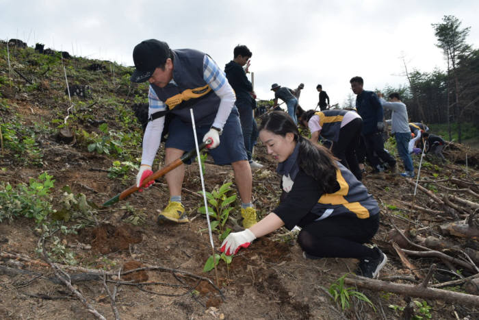 지난 28일 강원도 강릉시 옥계면 산불 피해 지역에서 열린미세먼지 저감 숲 조성을 위한 나무심기 행사에 참가한 KB국민카드 직원과 직원 가족이 나무를 심고 있다.