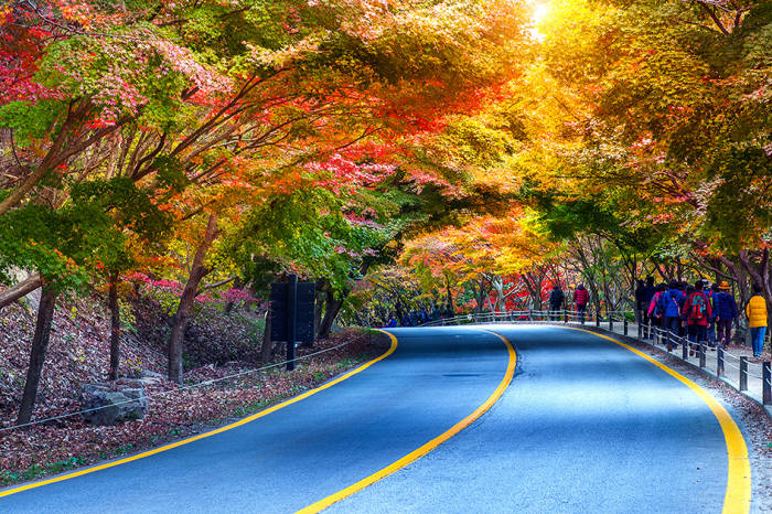 설악산 단풍