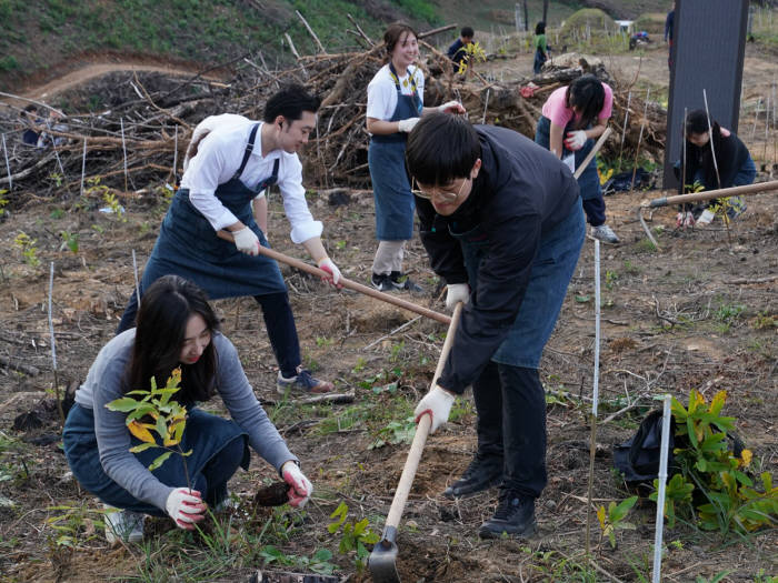 야놀자는 강원도 산불 발화지점인 강릉시 옥계면에 오는 2020년 4월까지 총 1만그루 나무를 식재해 야놀자 숲을 조성한다.