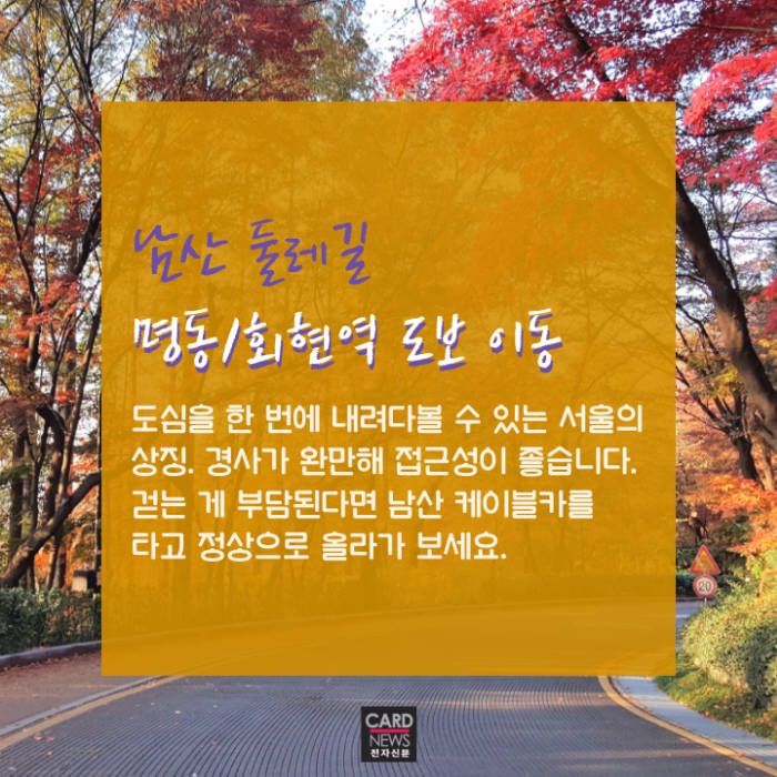 [카드뉴스]지하철로 떠나는 가을 피크닉 '서울 단풍명소'