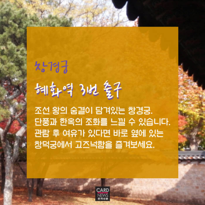 [카드뉴스]지하철로 떠나는 가을 피크닉 '서울 단풍명소'