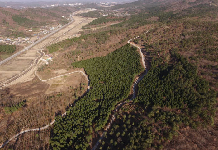 전남 보성 봉화산선도산림경영단지