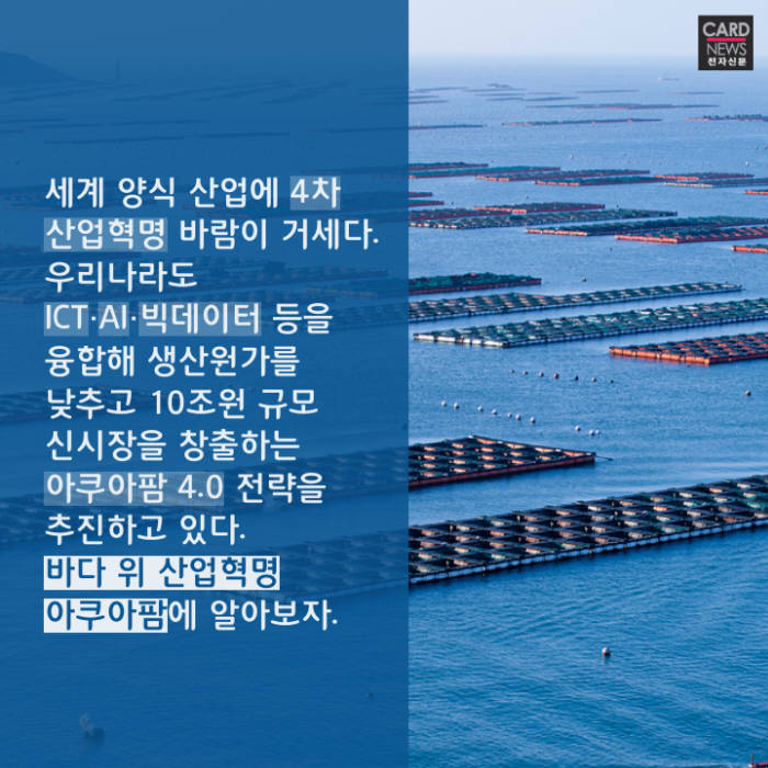 [카드뉴스]바다 위 산업혁명 '아쿠아팜'