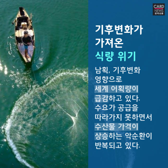 [카드뉴스]바다 위 산업혁명 '아쿠아팜'