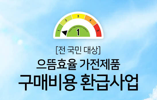 '으뜸효율 가전 환급제' 시행…유통가, 겨울가전 판매 전쟁