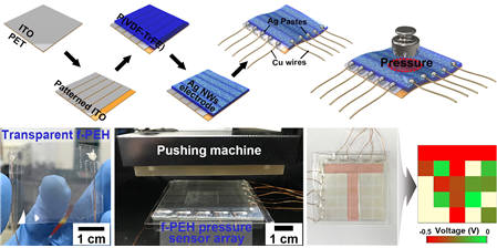 위는 투명하고 유연한 자가발전 센서 제작공정. 아래는 개발된 소자와 외부 압력을 감지한 결과