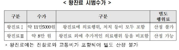 일차의료 왕진 시범 수가