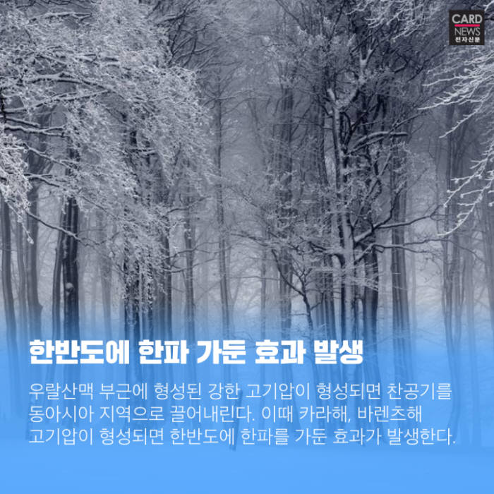 [카드뉴스]겨울 불청객 '한파' 올해 더 자주 찾아온다