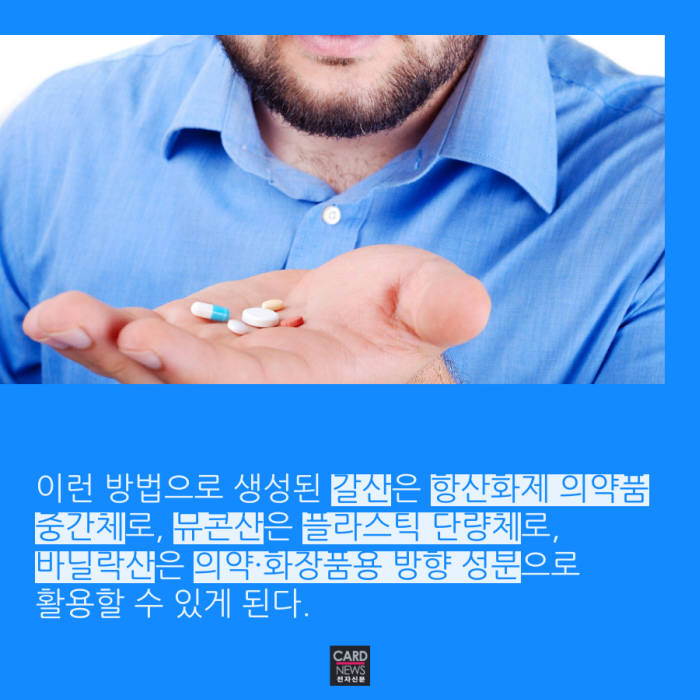 [카드뉴스]지구 괴롭히던 페트병, 藥 된다고?