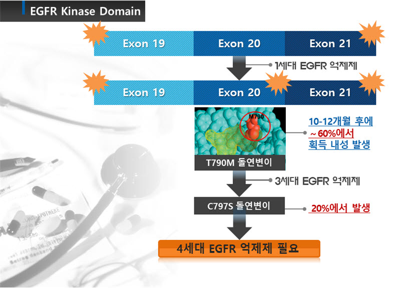 EGFR 억제제 개념도