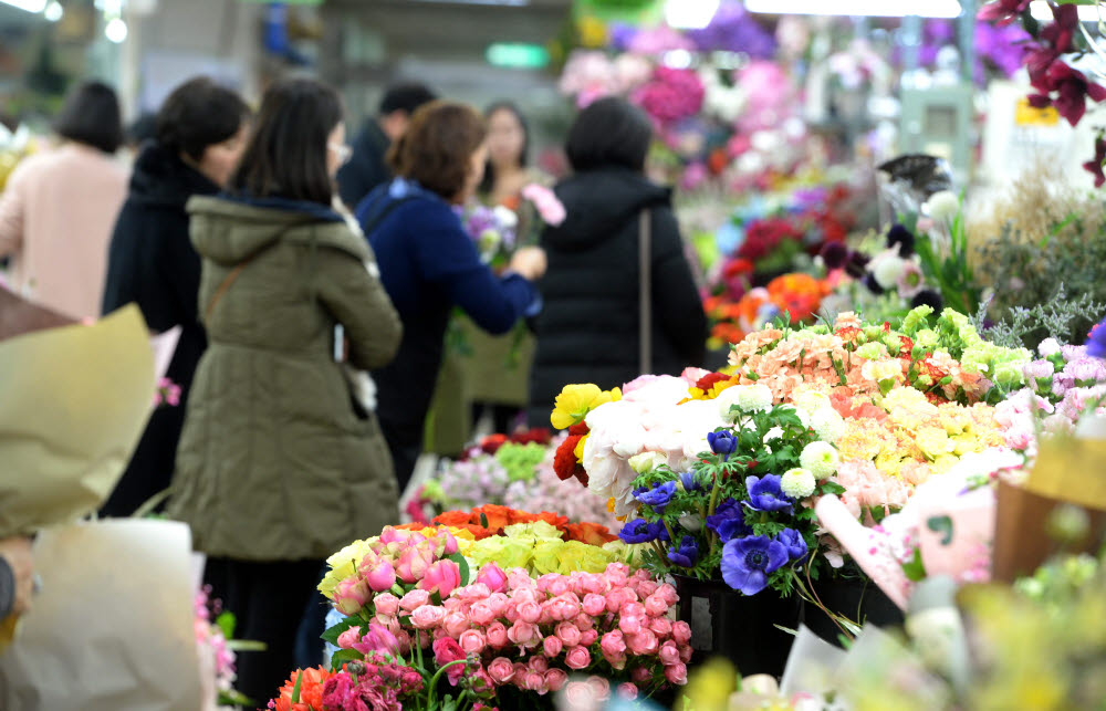 사진은 해당 기사와 직접적인 관련이 없음. 사진=전자신문DB