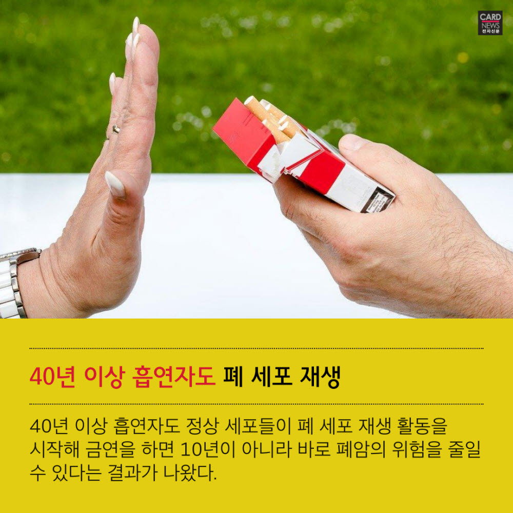 [카드뉴스]40년 골초도 금연하면 폐 기능 회복