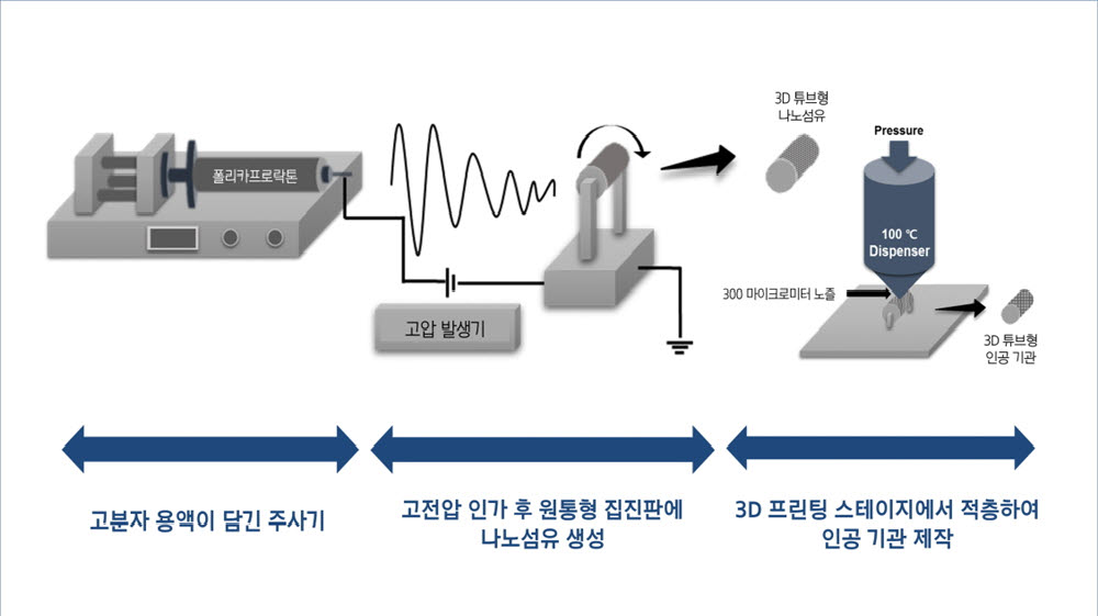 3D 튜브형 인공 기관 제작 공정