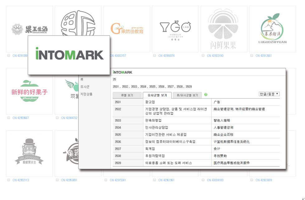 국내 사용자를 위해 한국어로 번역되어 있는 인투마크 중국상표 검색시스템