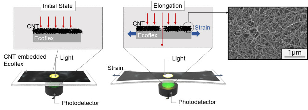 광 투과도 변화를 활용한 탄소나노튜브 기반 유연 인장 센서 구조