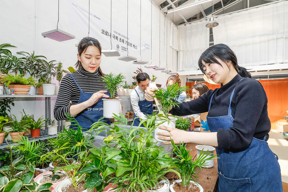 서울 성수동 트리플래닛 온실에서 관계자들이 공동생활센터 아동에게 보낼 반려나무를 포장하고 있다.