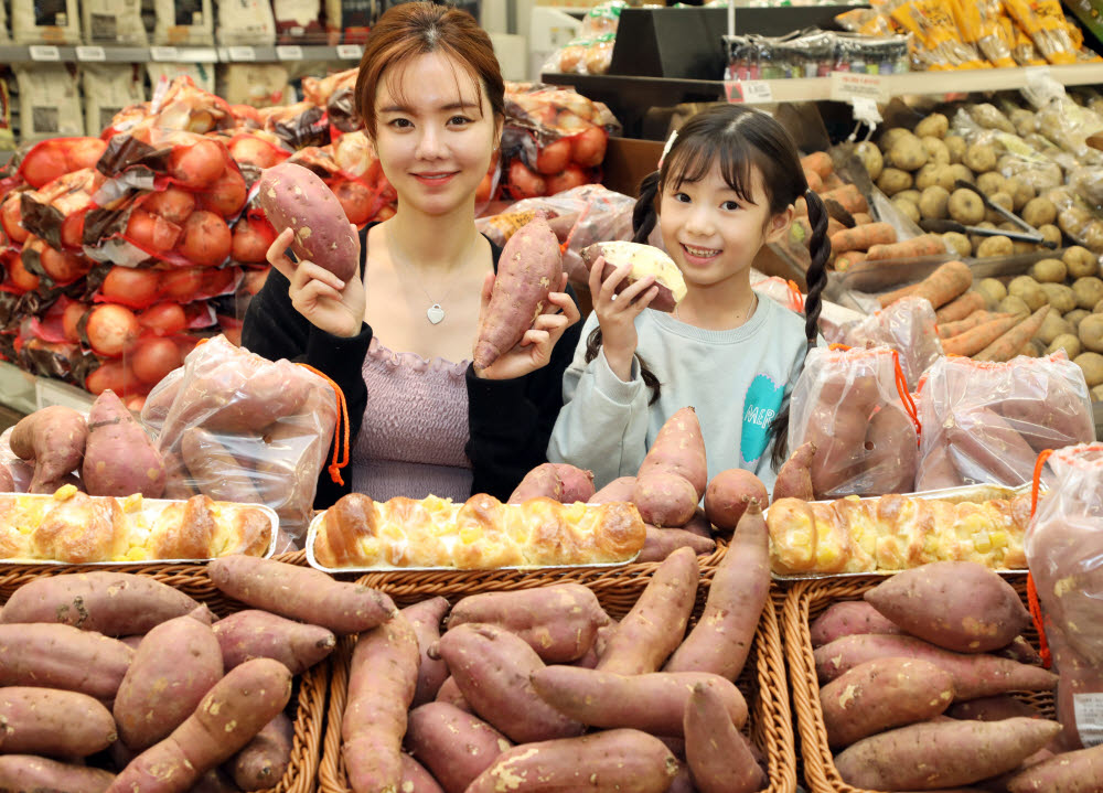 이마트 용산점 농산 코너에서 모델들이 해남 못난이 왕고구마를 소개하고 있다.