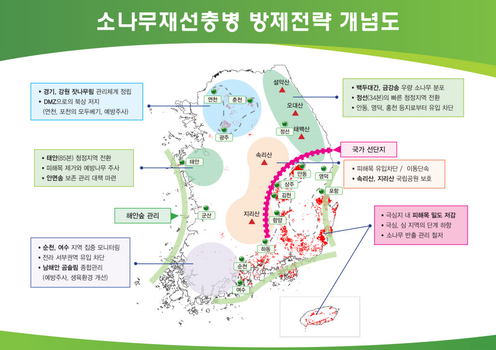 소나무재선충병 전년 대비 17% 감소