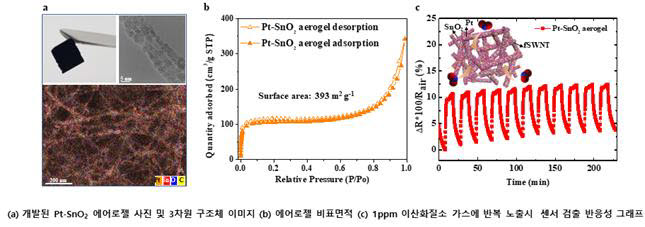 개발 플랫폼 사진및 성능