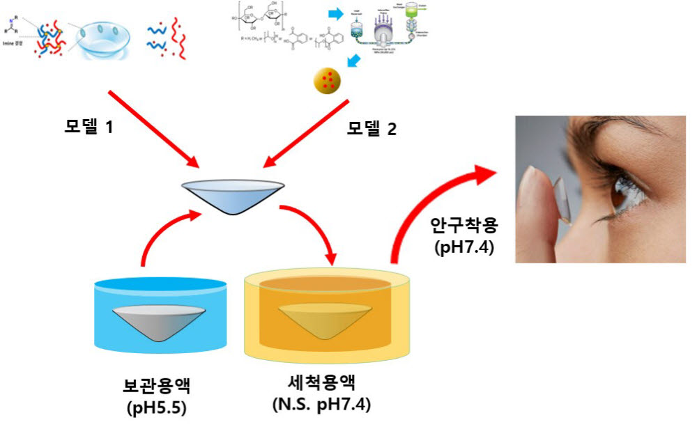 윤경철 전남대 교수팀이 개발하는 안구건조 방지 콘택트렌즈 개발 모식도.