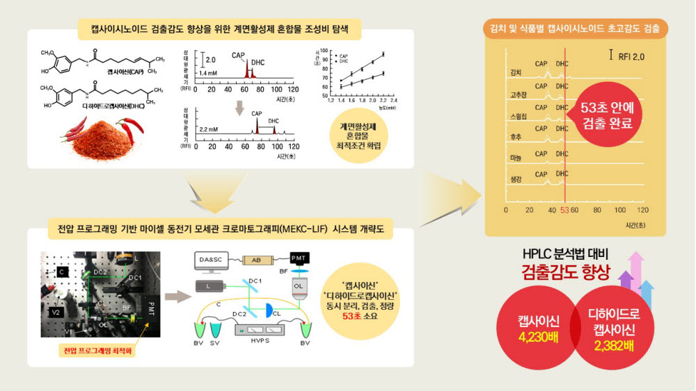 김치 매운맛 성분 고감도 동시 분석 기술 개요