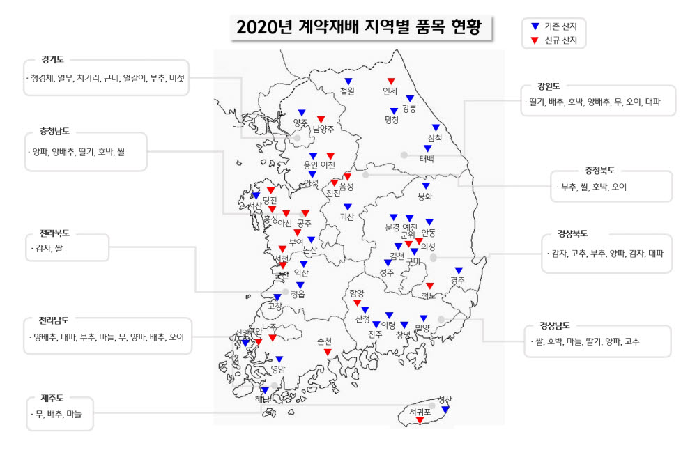 CJ프레시웨이, 여의도 20배 규모 계약재배 실시…농가와 상생 확대