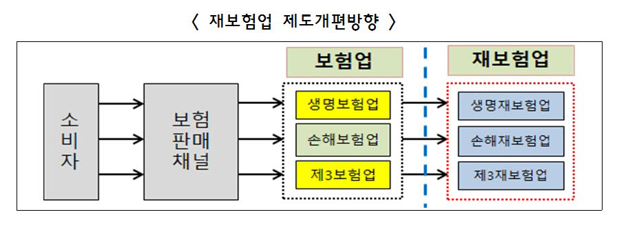 재보험, 손해보험 분류서 독립 "별도 관리키로"