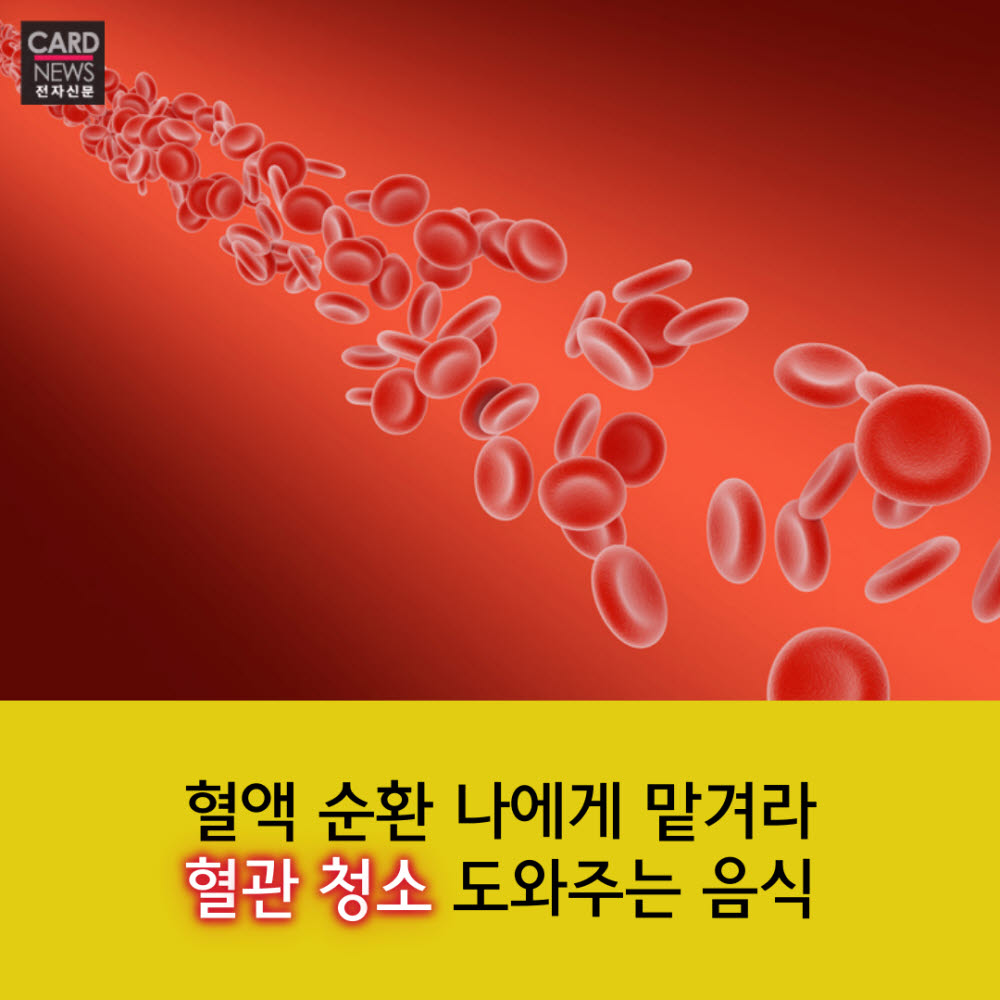 [카드뉴스]혈액 순환 끝판왕…혈관 청소 도와주는 음식
