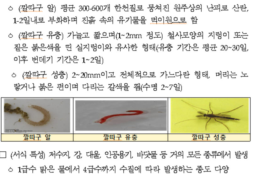 환경부, 인천시 수돗물 유충 활성탄 여과 과정에서 발생 추정