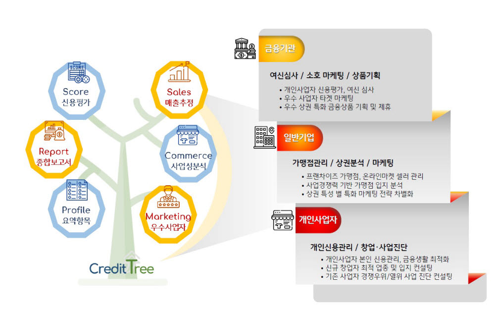 KB국민카드, 특화 신용평가 서비스 '크레딧 트리' 오픈