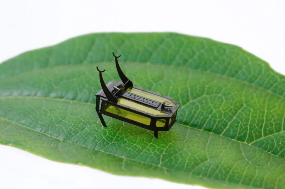 남캘리포니아대 연구진이 개발한 딱정벌레 로봇 로비틀(Robeetle). <사진=사이언스 로보틱스>