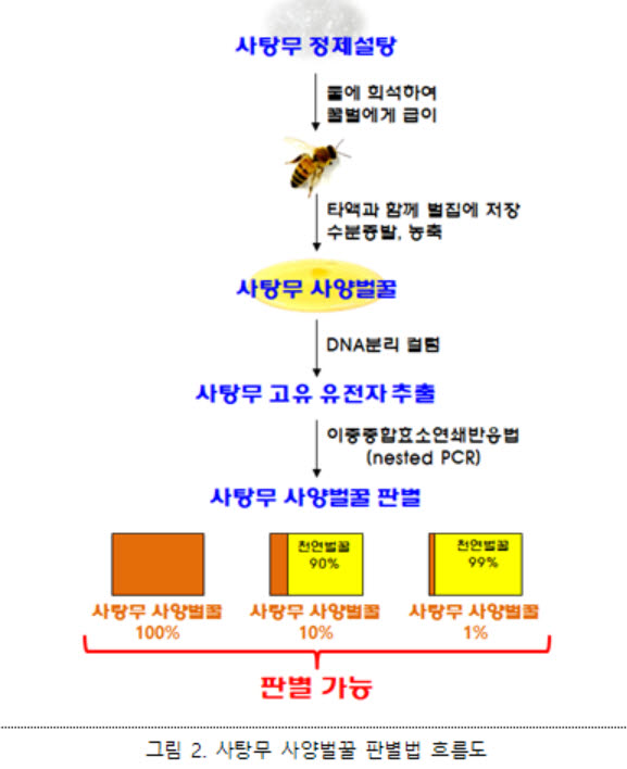 Photo Image