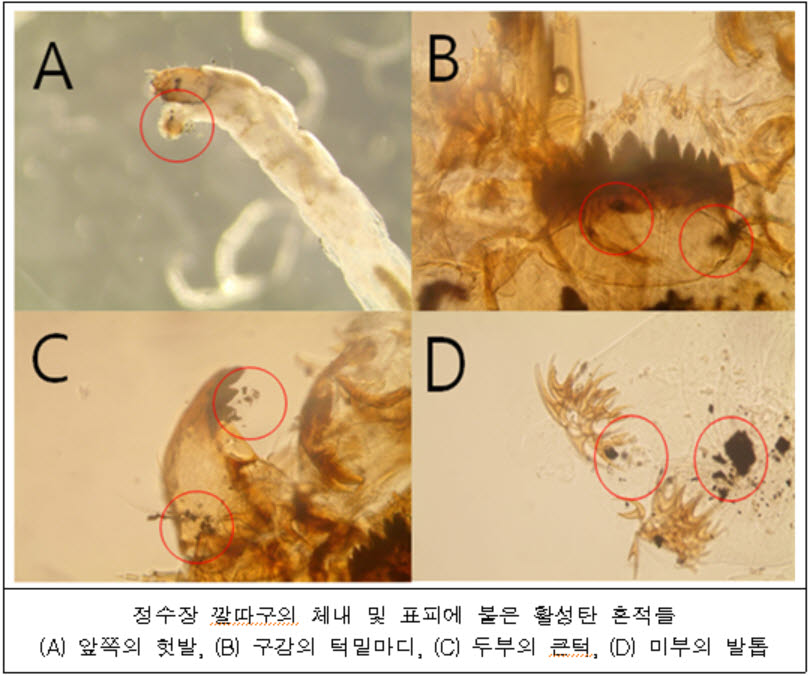 "인천 수돗물 깔따구 유충, 활성탄지에서 유출" 결론