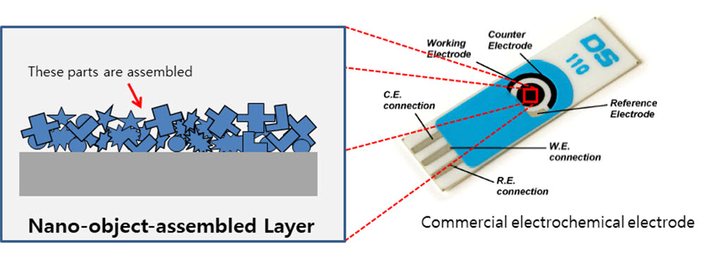 전기화학식 나노바이오센서의 표면에 조립된 나노물체조립층의 모식도