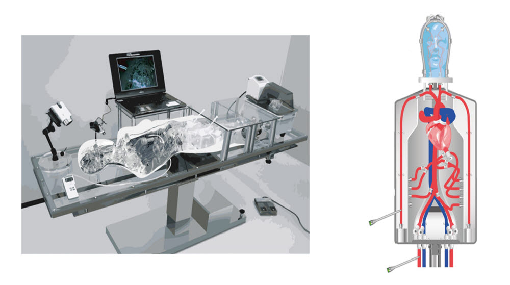인체모사형 심혈관 시뮬레이션 시스템 개념도 (자료=새한테크놀로지)
