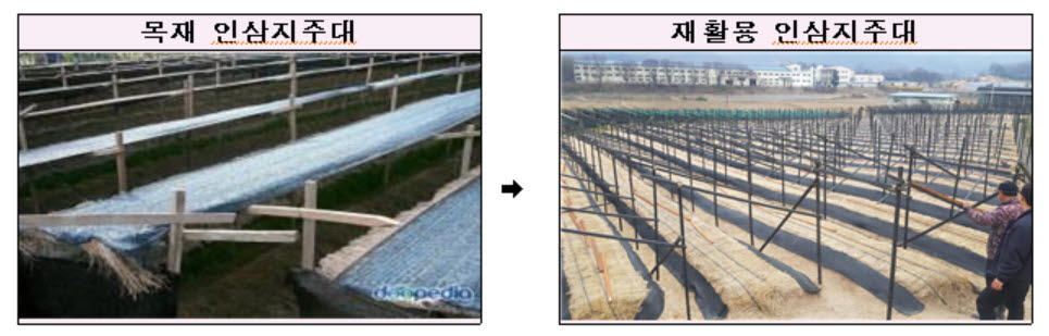 수입 목재로 만들던 인삼지주대 재활용 폐비닐로 바꾼다