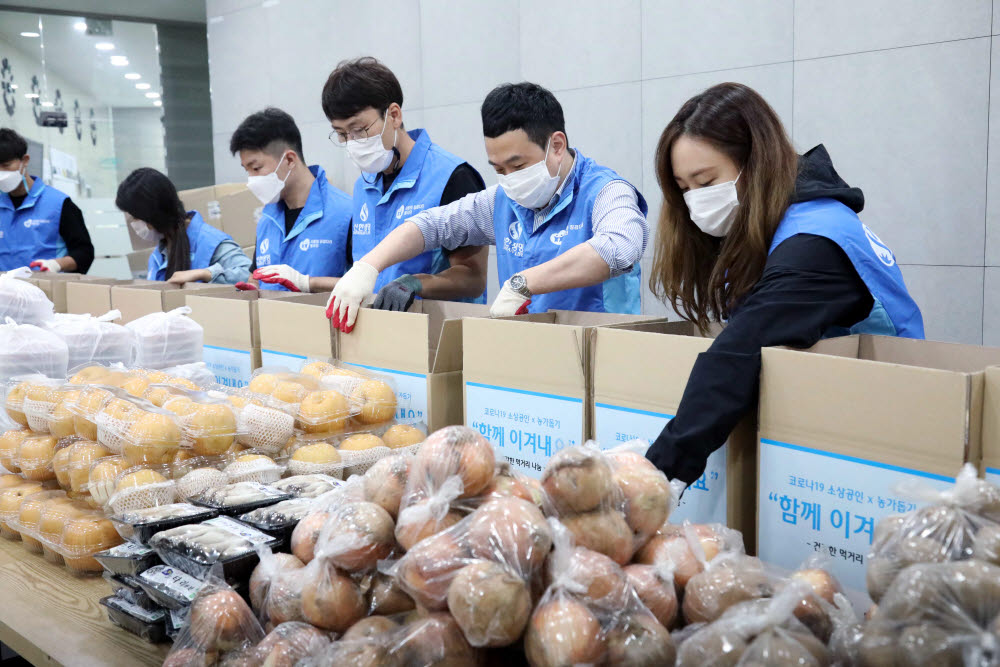 신한생명 임직원들이 23일 서울시 구로구 비영리 NGO 함께하는 사랑밭 사무소에서 농산품 키트를 제작하고 있다.