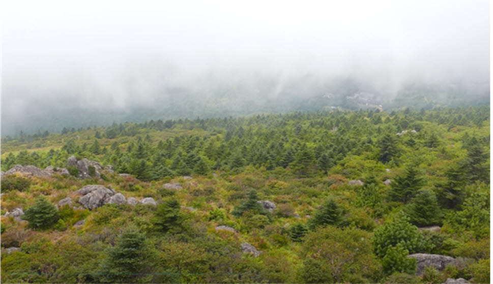 지리산 세석평전